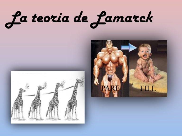 Quais As Principais Críticas A Teoria De Lamarck