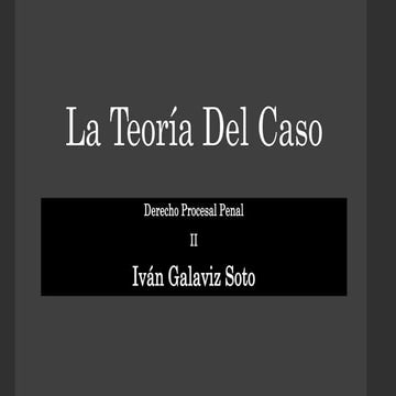 La teoría del caso