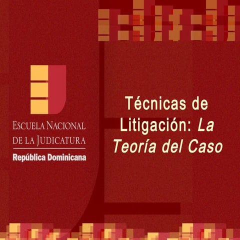 La teoria del caso_IAFJJSR