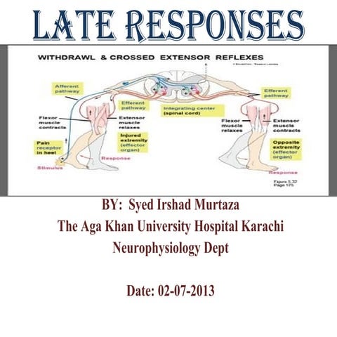 Late Responses (F-wave and H.Reflex)