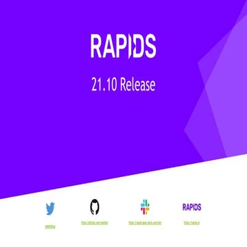RAPIDS Overview | PDF