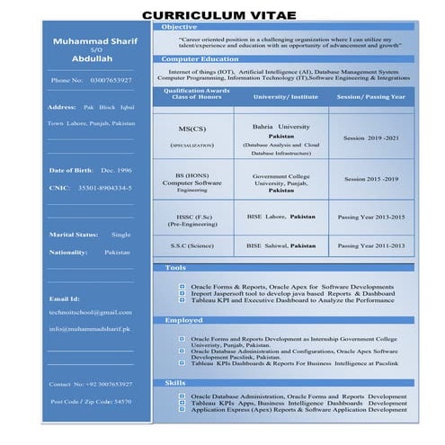 MUHAMMAD-SHARIF-CV-DATABASE INTEGRATIONS-ANALYSIS | PDF