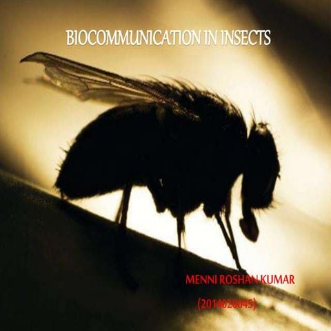 bio communication in insects
