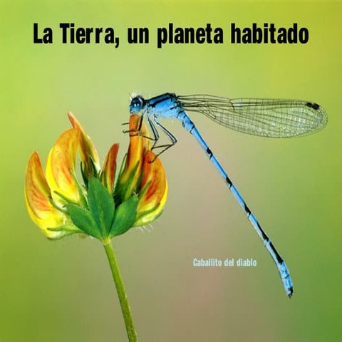 La tierra un_planeta_habitado