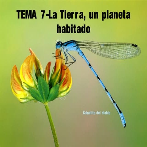 La tierra un_planeta_habitado