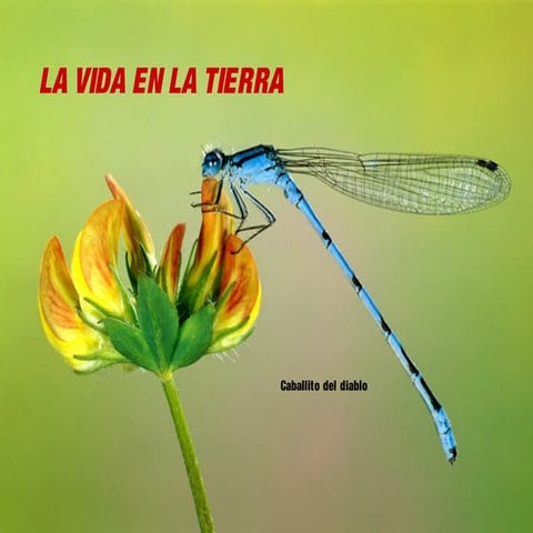 La tierra un planeta habitado