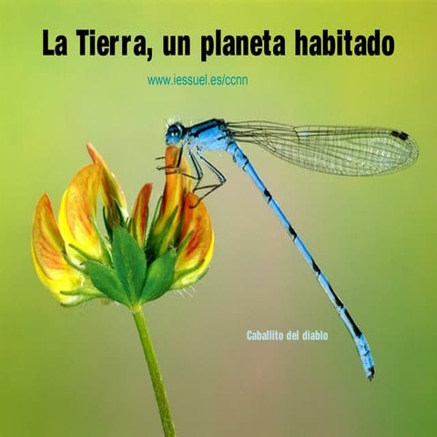 La Tierra, un planeta habitado