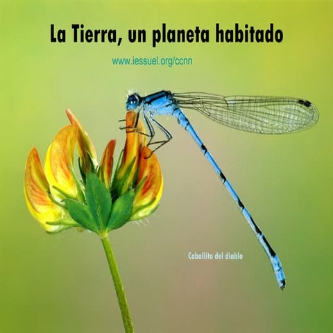 La tierra un_planeta_habitado 