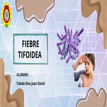la fiebre tifoidea. estudiante: juan david toledo alva