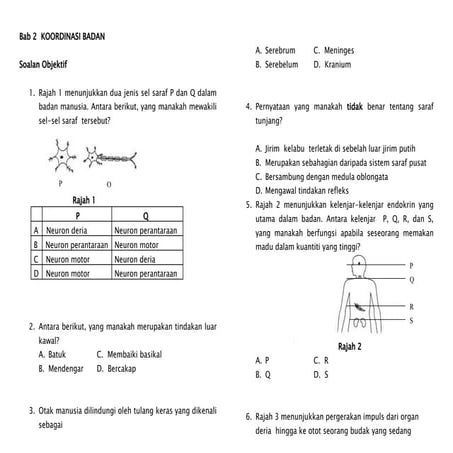 Bab 2: Koordinasi Badan