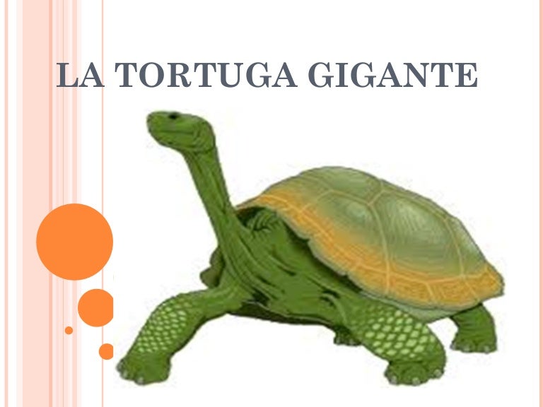 El Libro De La Selva Horacio Quiroga | Libro Gratis