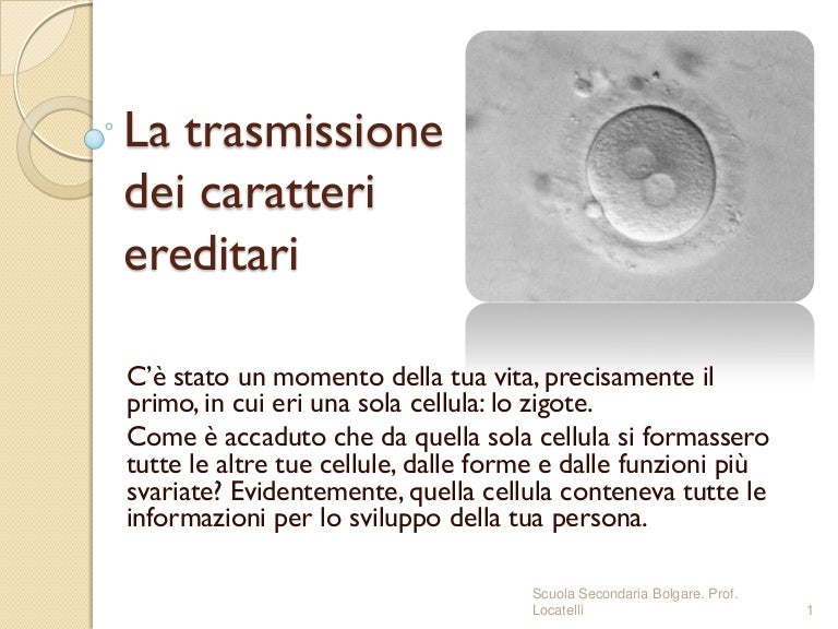 Determinano I Caratteri Ereditari Nella Cellula