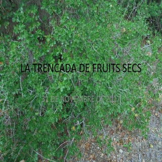 La trencada de fruits secs
