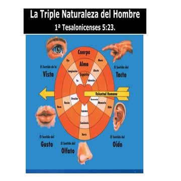 La triple Naturaleza del Hombre estudio.
