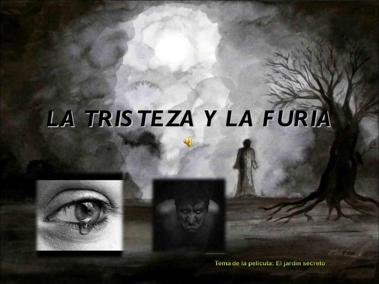 La tristeza y la furia