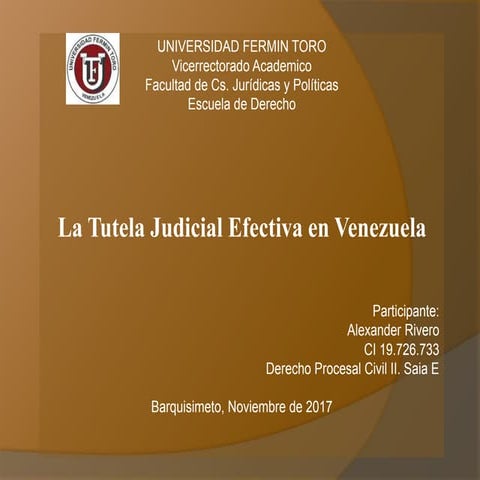 La tutela judicial efectiva. alexander rivero