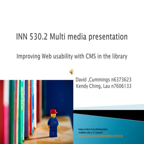 Lau cummings inn530.1