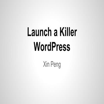 Launch a killer word press