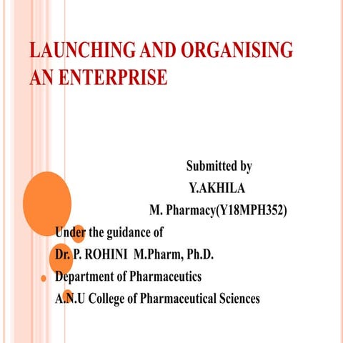 Launching and organizing an enterprise 