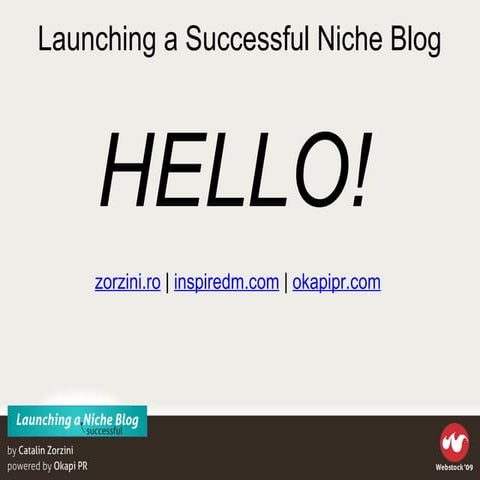 Launching A Successful Niche Blog