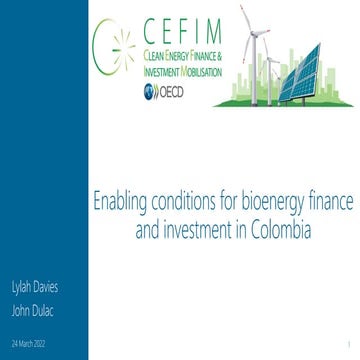 Launch of CEFIM bioenergy Report in Colombia