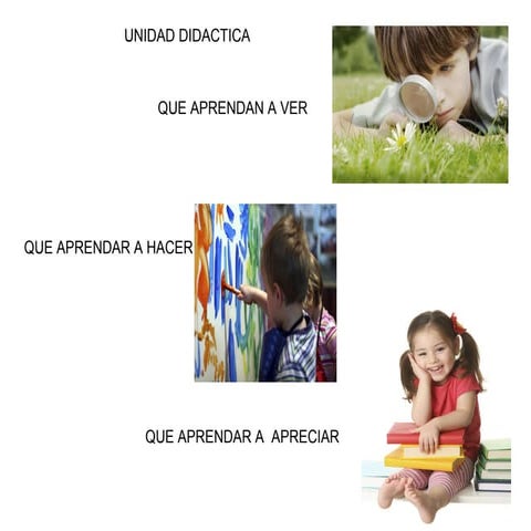 La unidad didactica de plastica