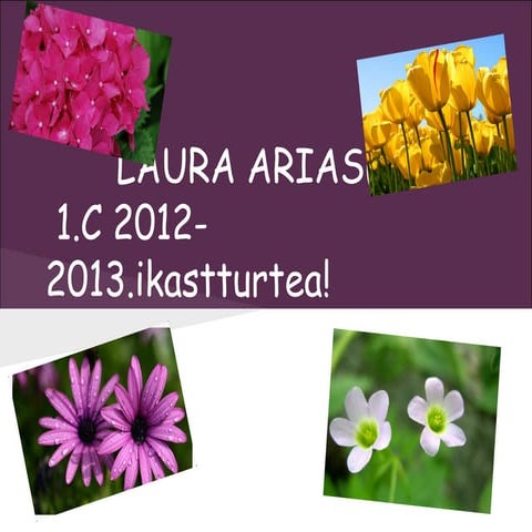 Laura aurkezpena 1. c