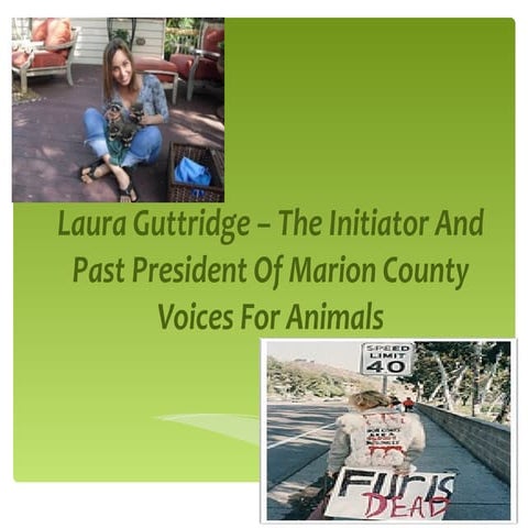 Laura guttridge | PPT