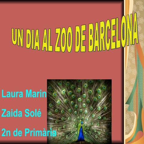 Laura m i zaida