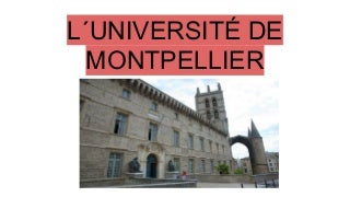 Laura salmanayat blog de montpellier