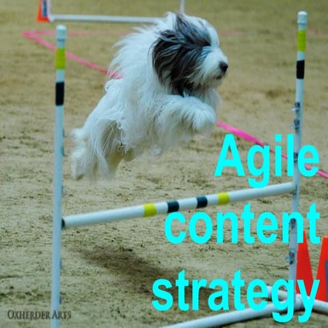 Agile content strategy