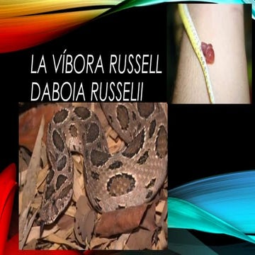 La víbora russell | PPT