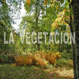 La vegetación  navarra1