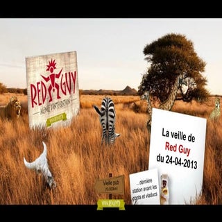 La veille de red guy du 24.04.13 - ...