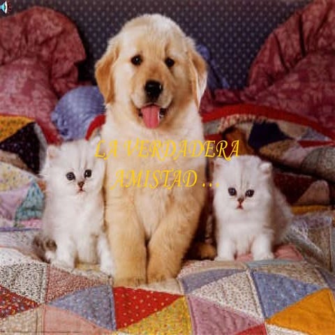 La+verdadera+amistad