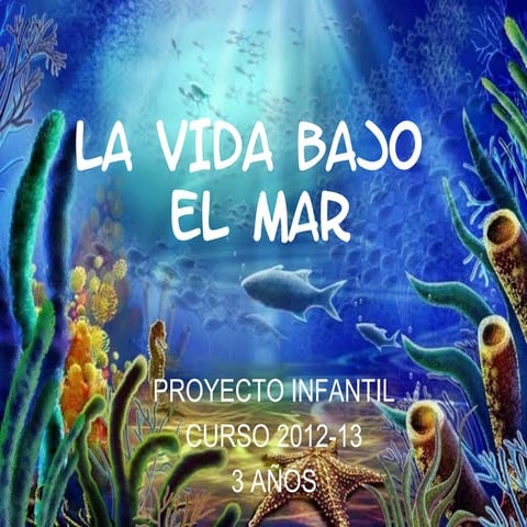La vida bajo el mar delfines y ballenas