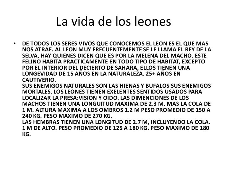 La vida de los leones