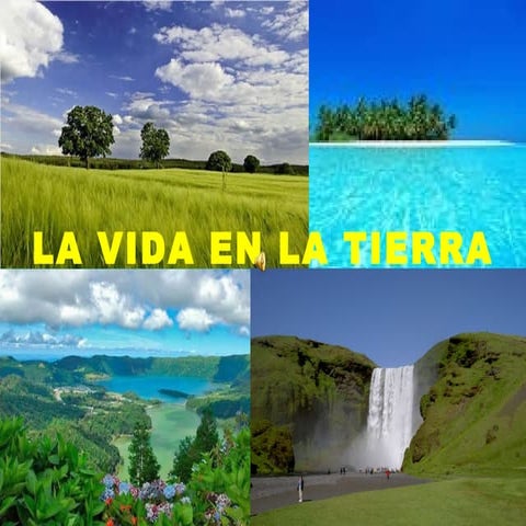 La vida en el planeta tierra | PPT