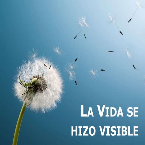 La vida se hizo visible