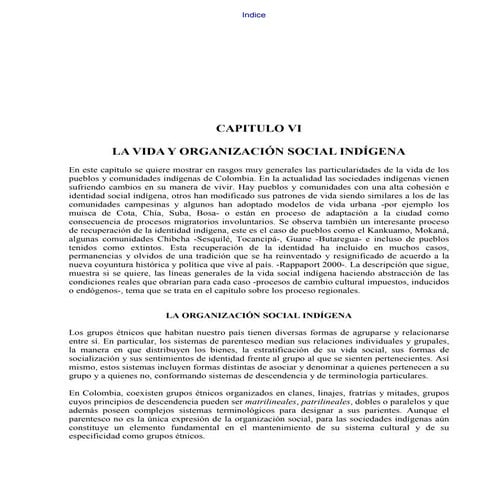 La vida y organización social indígena