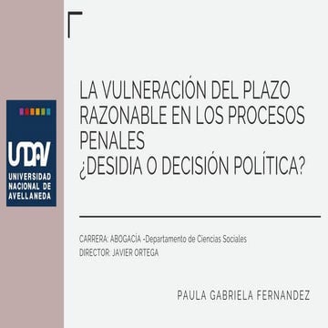 La vulneación del plazo razonable.pdf