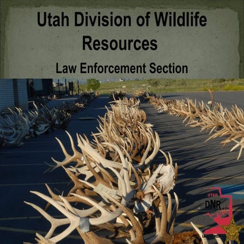 What Is Dwr Law Enforcement? : Enforcement – BZZDA