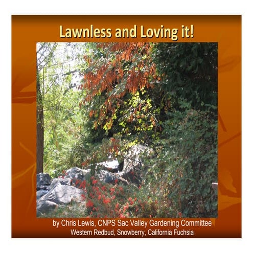 Sacaramento CA: Lawnless and Loving It Manual