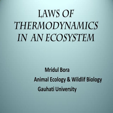 Laws of Thermodynamics in an Ecosystem