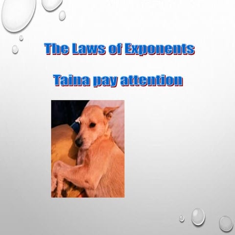 Laws of Exponents intro examples and pedmas.pptx