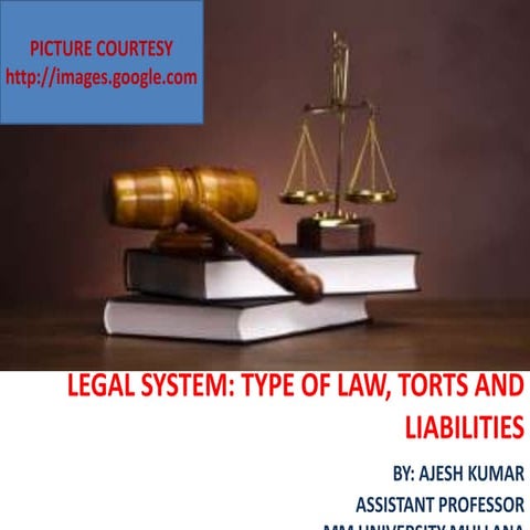 Legal System: Type of law, Torts and Liabilities 