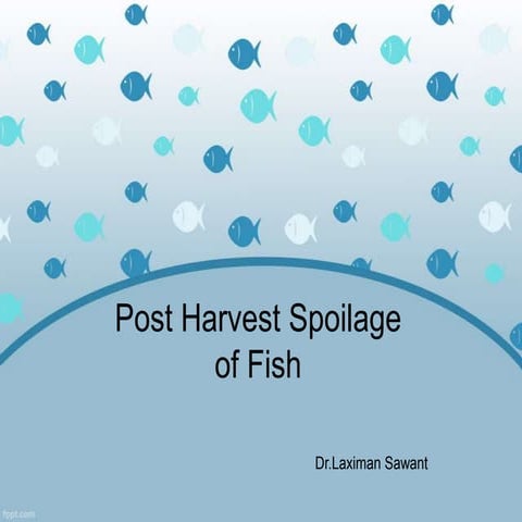 Post Harvest Spoilage of Fish 