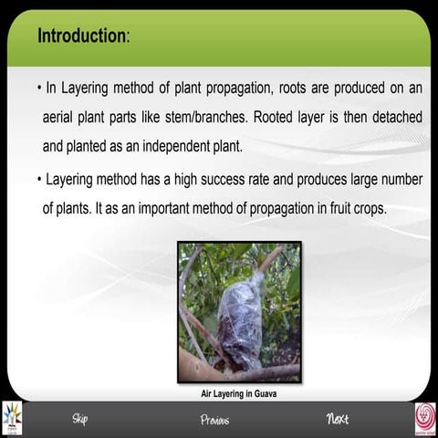 Plant Propagation (Layering and grafting) Chapter for SEE Nepal