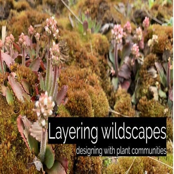 Layering wildscapes: designing with plant communities