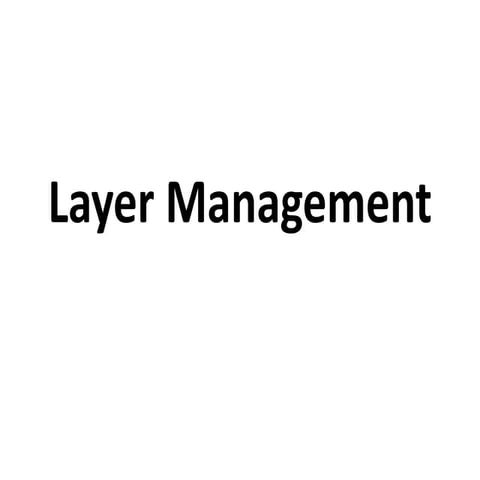 Layer management3